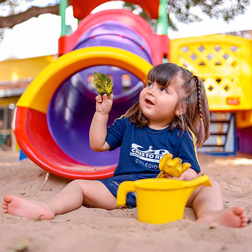 Educação Infantil